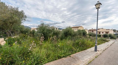 Terreno San Lorenzo, immagine 5