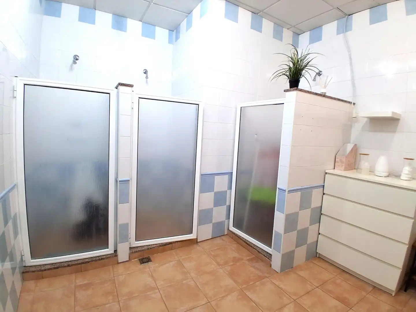 Baño de Casa o chalet en venta en Carmona