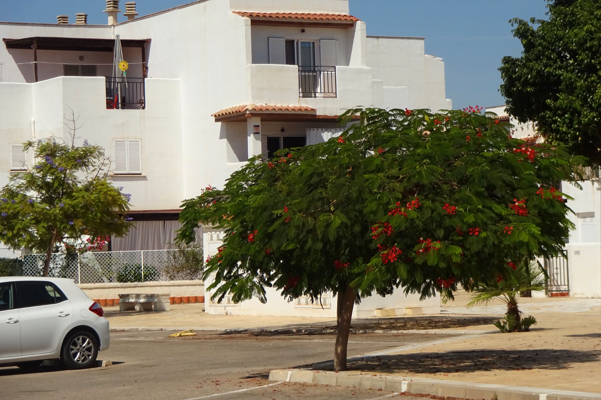 Vista exterior de Casa o chalet de alquiler en Vera con Aire acondicionado, Calefacción y Terraza