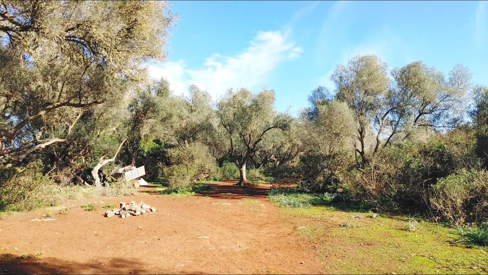 Terrenys i solars en venda a Felanitx Poble, imagen 17
