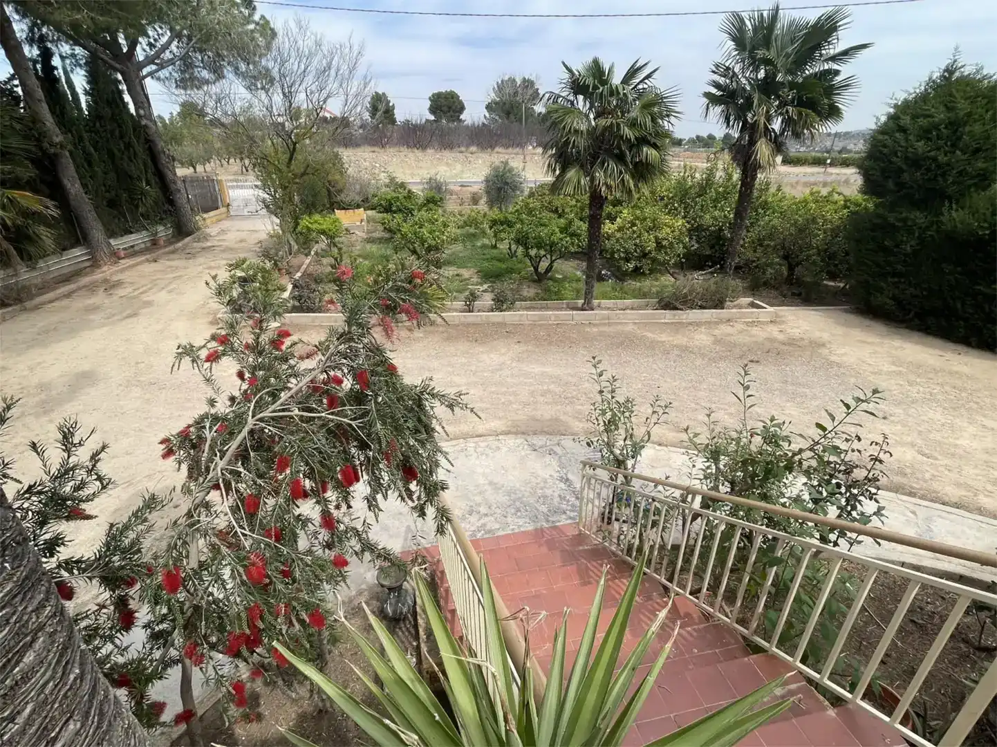 Jardín de Casa o chalet en venta en Real, Valencia