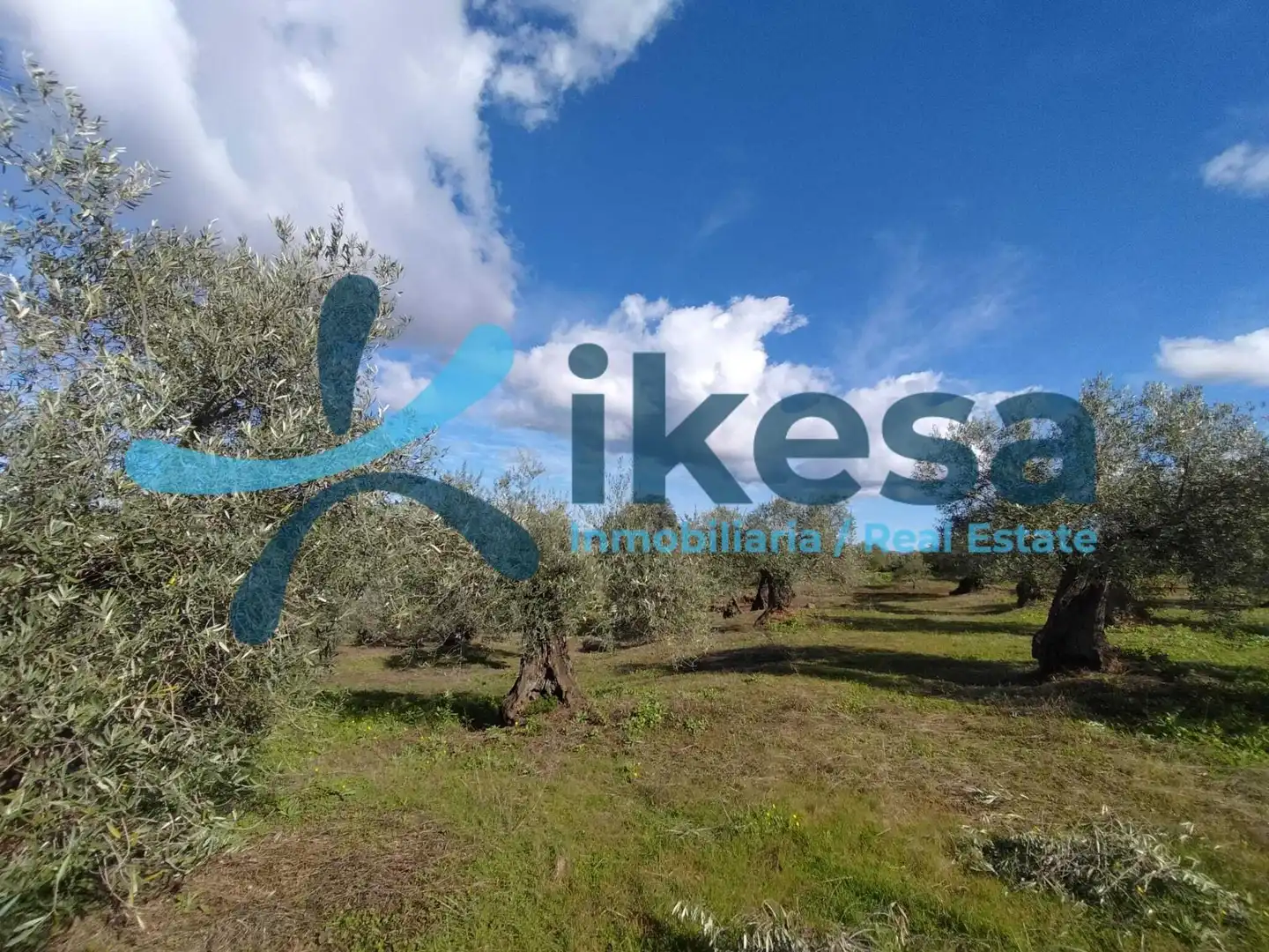 Rustikales Grundstück zum Verkauf in Montoro, imagen 4