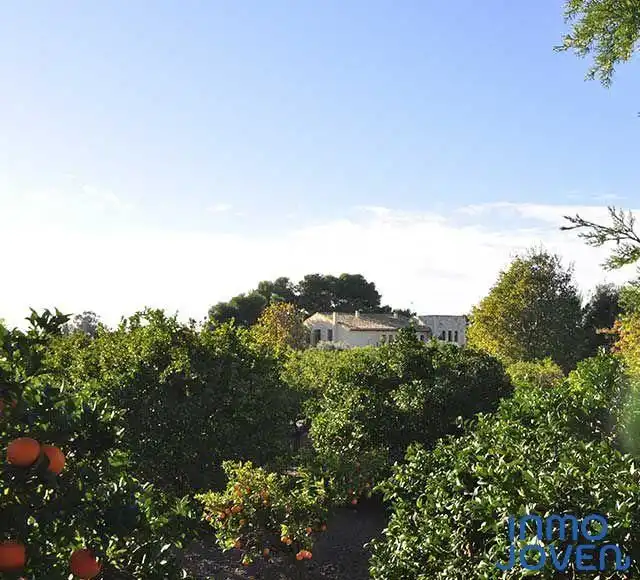 Vista exterior de Casa o chalet en venta en Mutxamel con Jardín privado, Terraza y Piscina