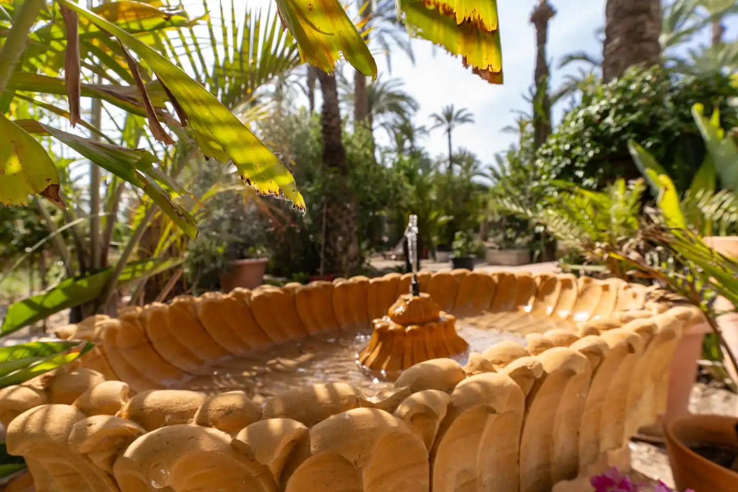 Jardí de Casa o xalet en venda en Elche / Elx amb Calefacció, Jardí privat i Parquet