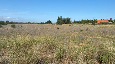Foto 5 de Finca rústica en venta en Santa Bàrbara, Tarragona