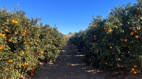 Foto 2 von Country house zum Verkauf in Urbanizaciones, Llíria