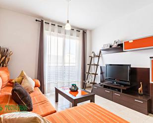 Living room of Flat for sale in Roquetas de Mar  with Air Conditioner and Furnished