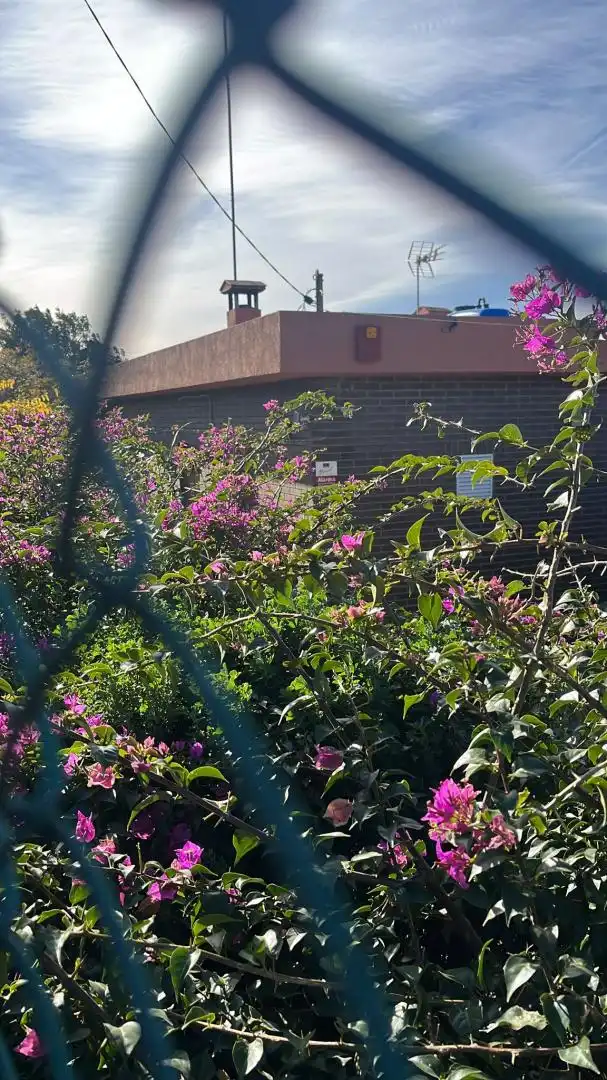 Xalet amb jardí en venda a Mestral, imagen 20