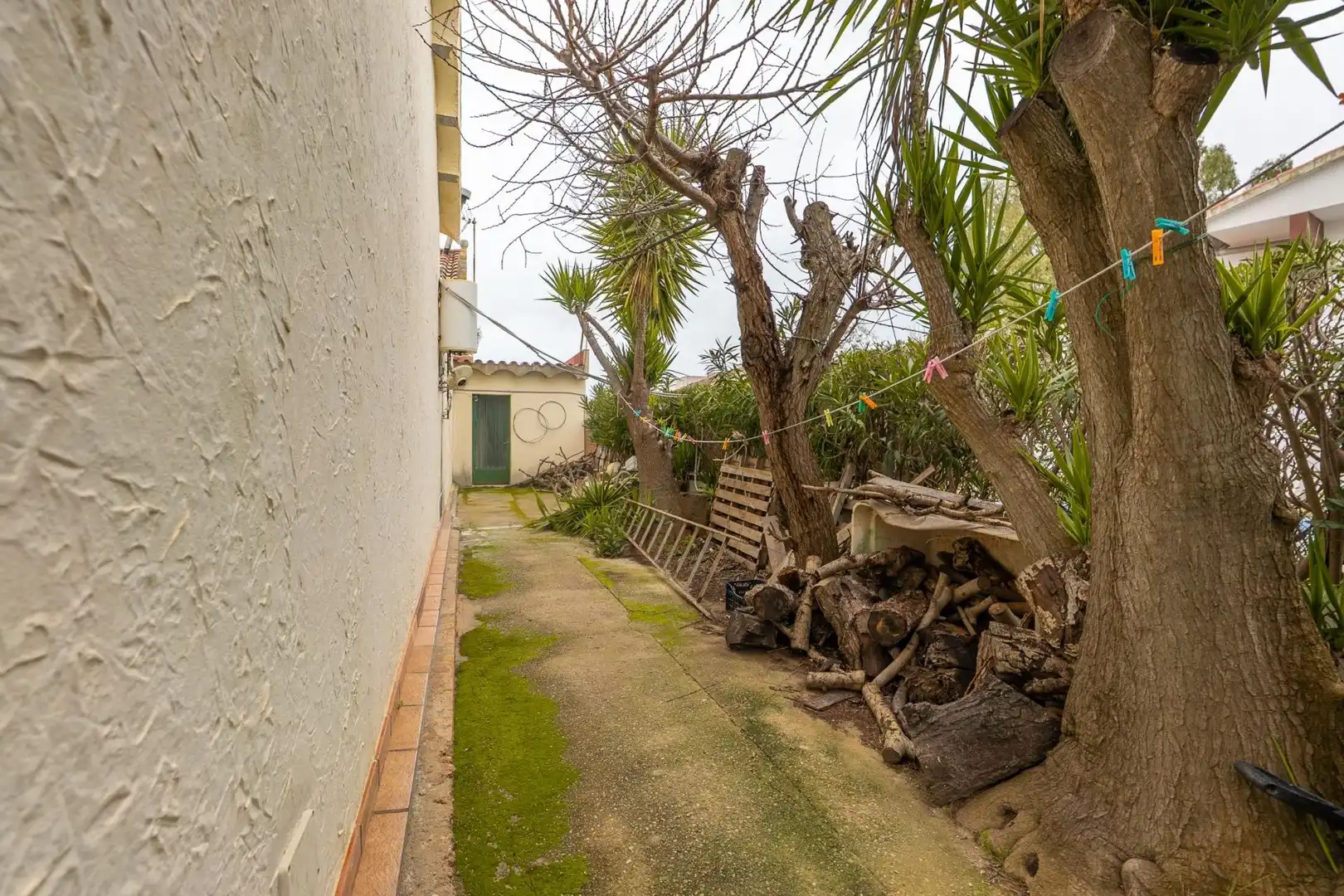 Villa avec jardin à vendre à Eucaliptus- Poble Nou del Delta, imagen 35