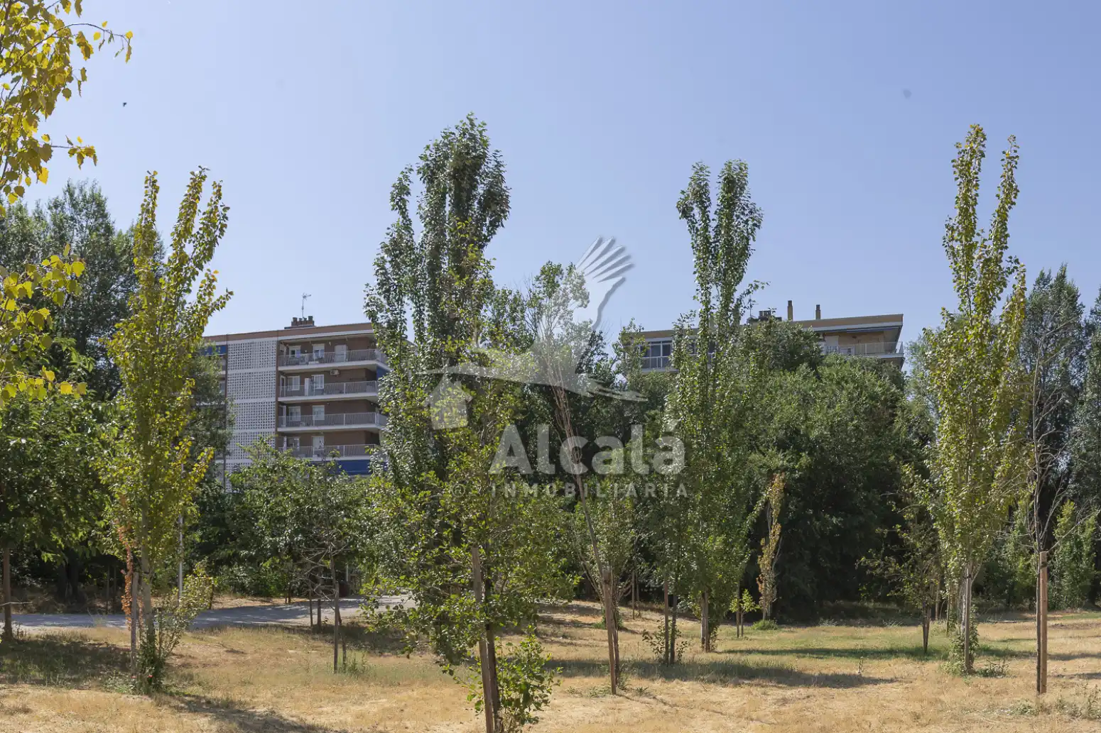 Vista exterior de Piso en venta en Alcalá de Henares con Calefacción, Parquet y Terraza