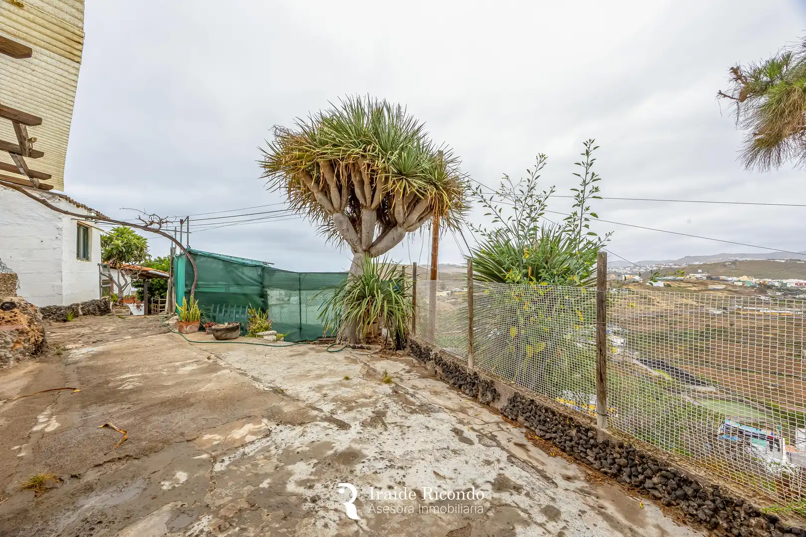 Casa o xalet en venda en Arucas