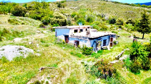 🏔️ FINCA DE 4 HECTÁREAS CON AGUA PROPIA, CORTIJO Y RUINAS EN LA SIERRA DE JÚBAR 🌿, immagine 5