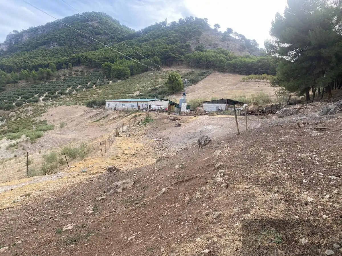 Nave industrial en venta en Rute