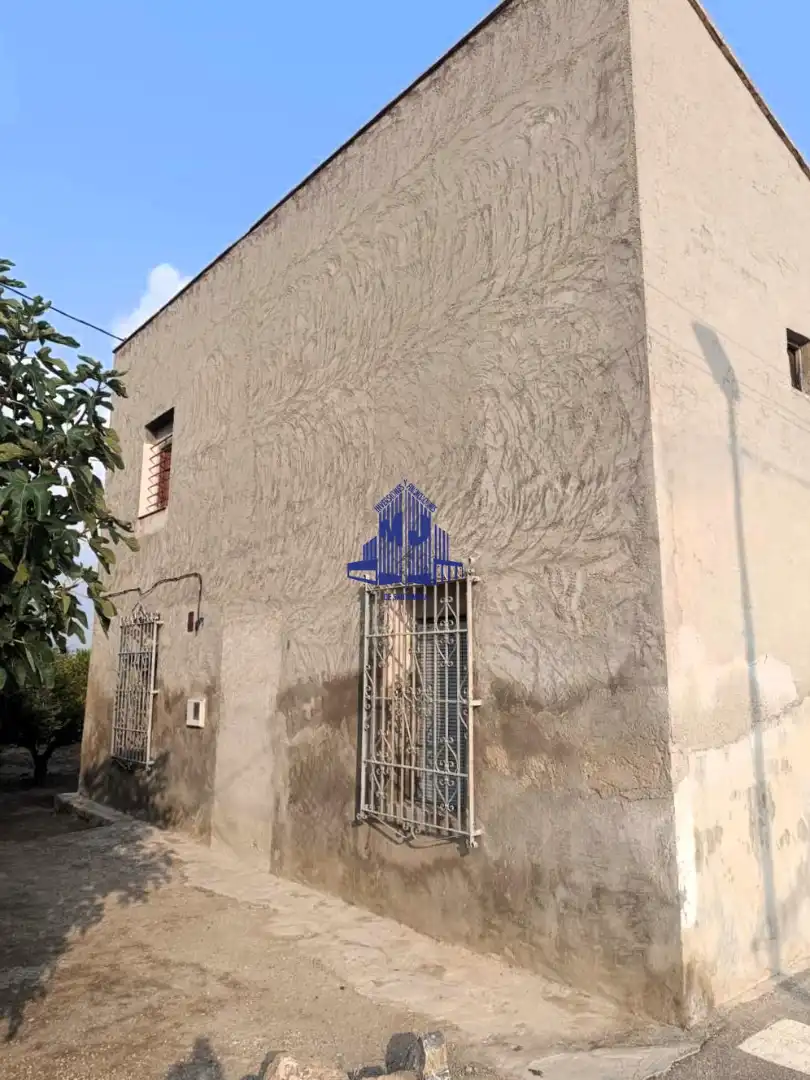 Vista exterior de Casa o chalet en venta en Murcia con Jardín privado, Terraza y Trastero