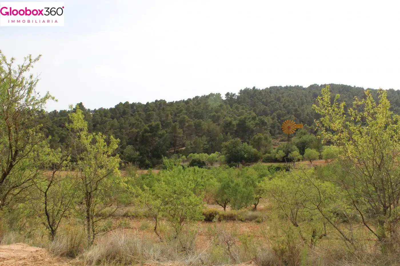 Country homes for sale in Blancafort  with Alarm