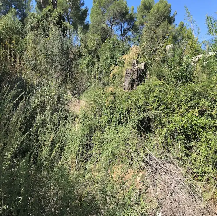 Terreno residenziale in vendita a Vallesa, imagen 27