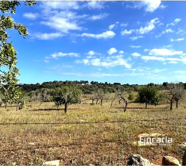 Residential for sale in Manacor