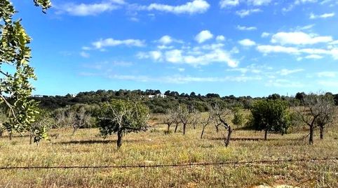 Photo 4 of Residential for sale in Ma-4014, Manacor Centre, Manacor