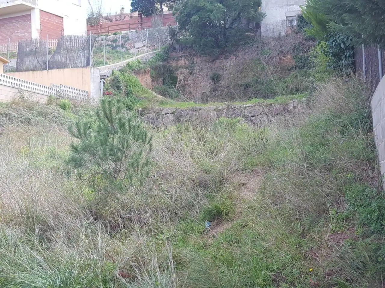 Residential land for sale in Mas Mora - Sant Daniel