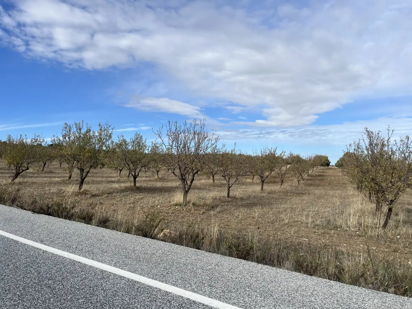 Rustikales Grundstück zum Verkauf in Avenida de Andalucía, imagen 17