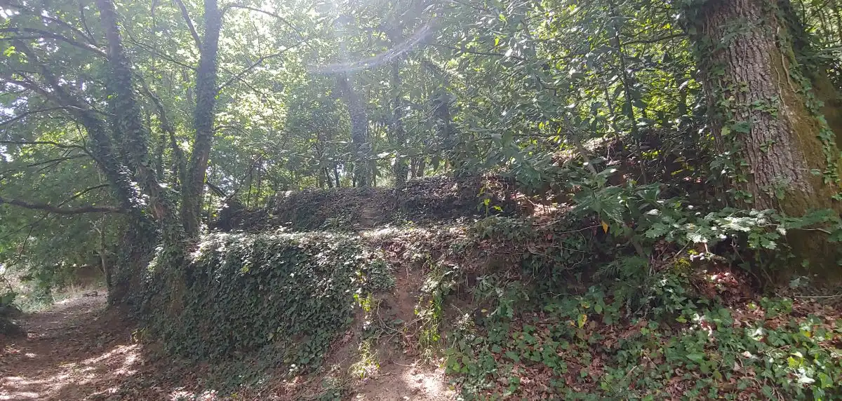 Casa o xalet en venda en Salceda de Caselas