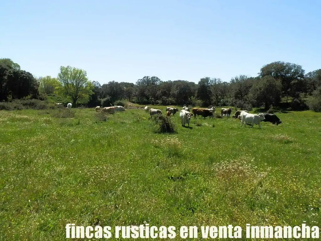 Terreno rustico in vendita a Ciudad Rodrigo, imagen 22