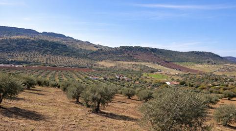 Photo 4 of House or chalet for sale in Diseminado Castelar, 54, 06300 Zafra, Badajoz, Spa, 54, Zafra, Badajoz