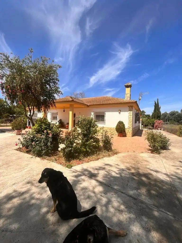 Vista exterior de Casa o xalet en venda en Córdoba amb Aire condicionat, Jardí privat i Terrassa