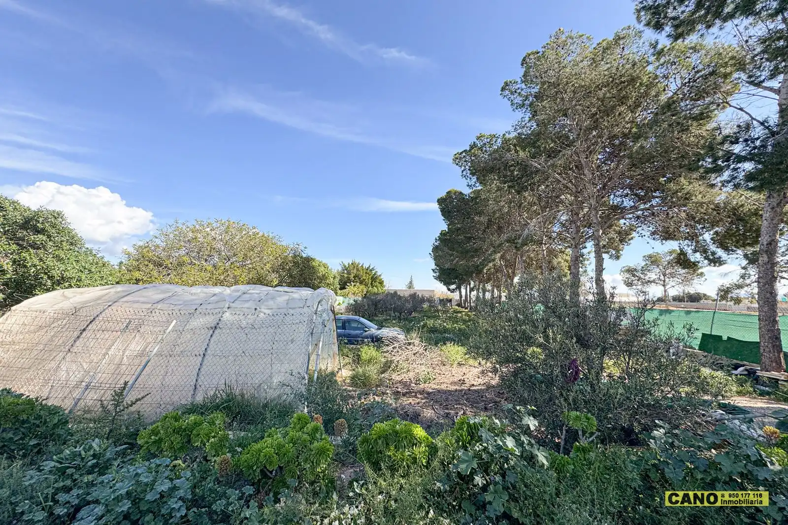 Casa o chalet en venta en Níjar con Piscina