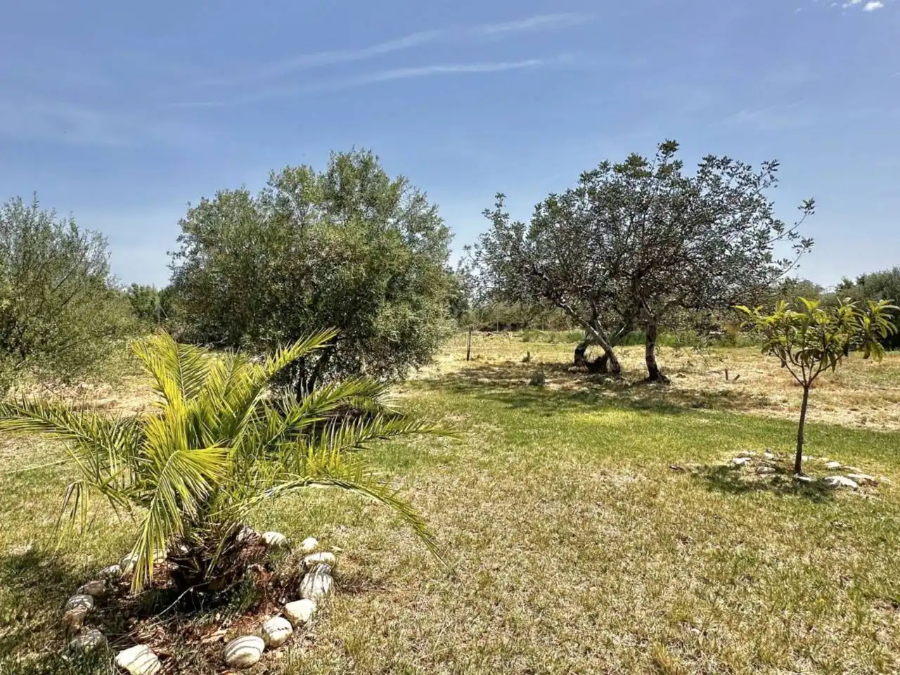 Finca rústica en venta en Vinaròs con Jardín privado y Terraza
