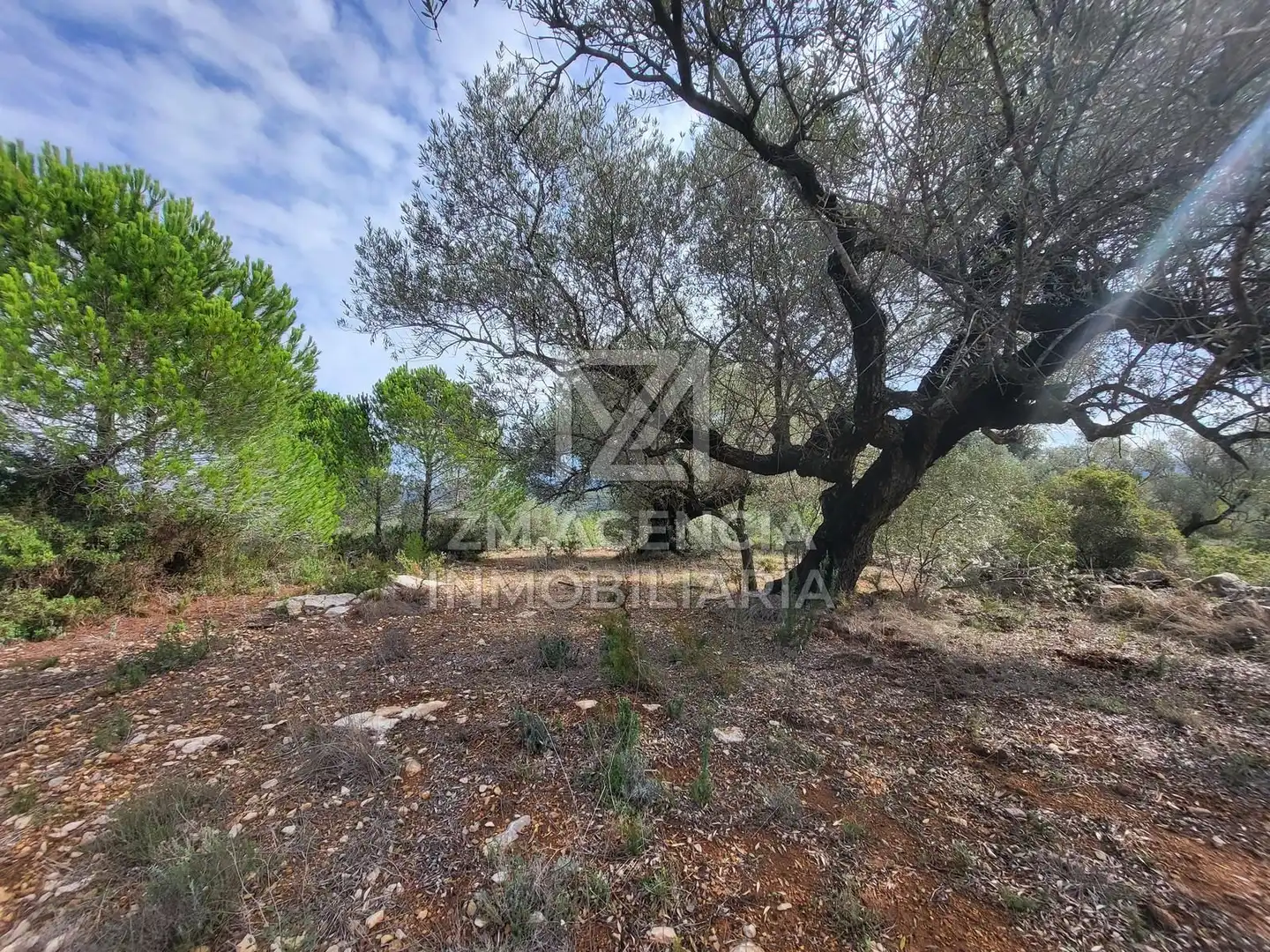 Casa rústica en venta en Traiguera, imagen 4