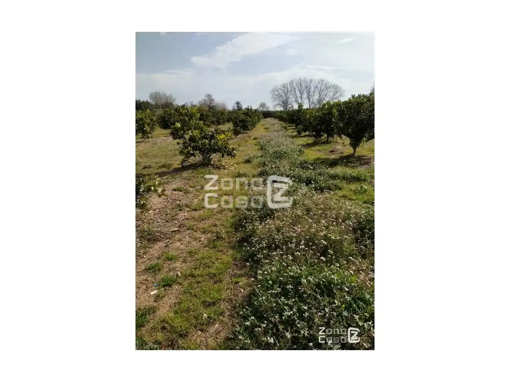 Country house for sale in Algemesí, imagen 2