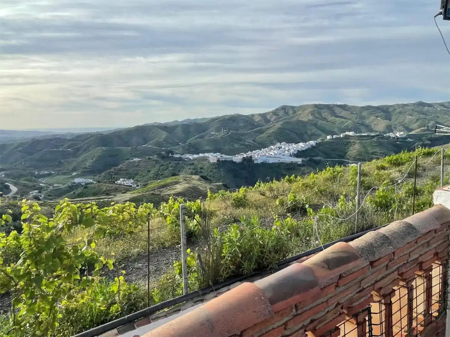 Vista exterior de Finca rústica en venda en El Borge amb Piscina i Balcó