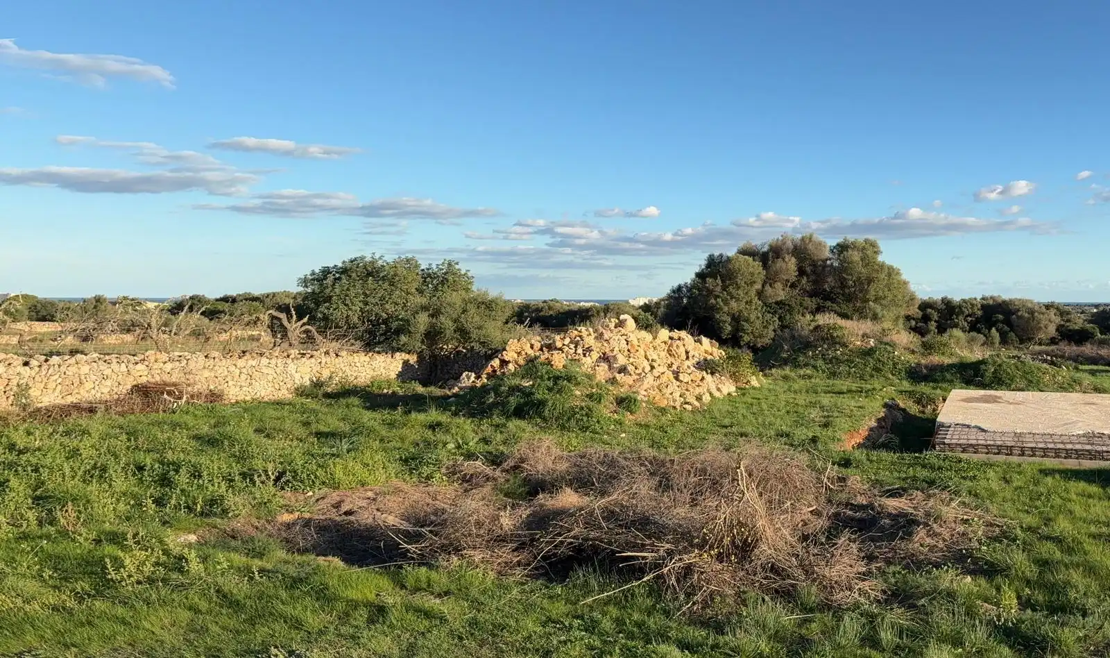 Rural land for sale in Sant Llorenç des Cardassar, imagen 3