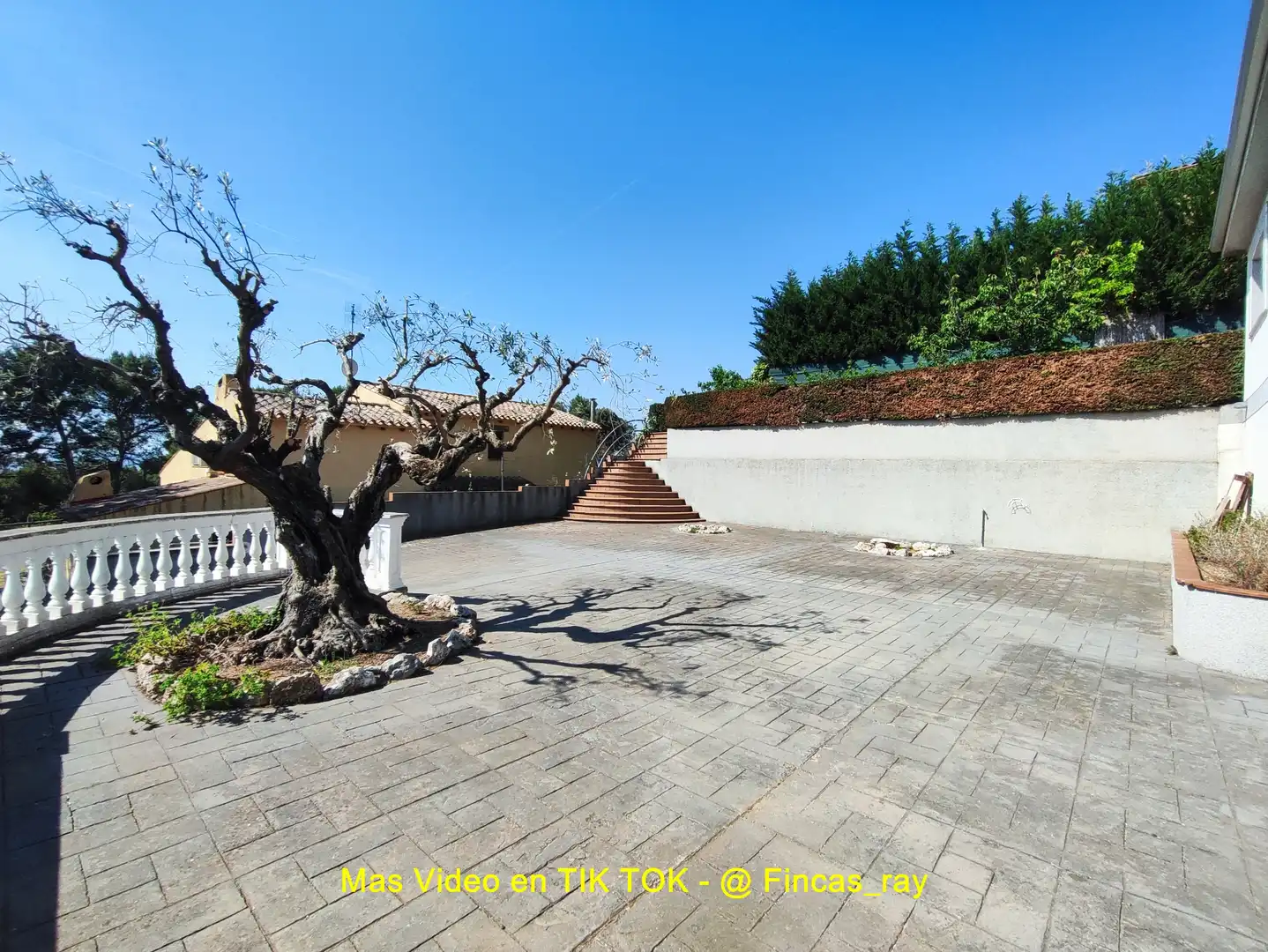 Jardín de Casa o chalet en venta en Bigues i Riells del Fai con Calefacción, Jardín privado y Terraza