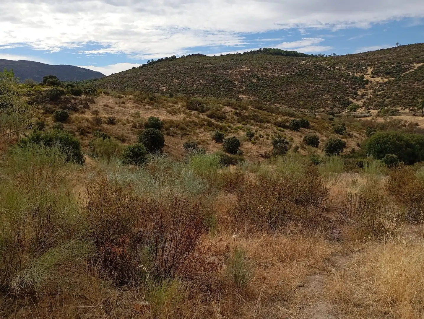 Terrenos y solares en venta en Robledo de Chavela, imagen 14