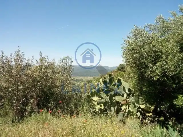 Rural land for sale in Espiel, imagen 11