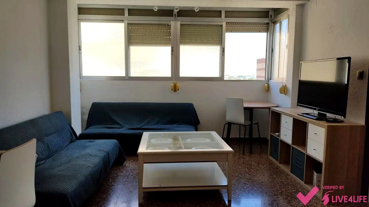 Sala de estar de Piso de alquiler en Valencia con Aire acondicionado y Amueblado