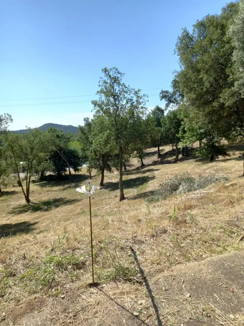 Terrenys i solars en venda a ALT EMPORDA, imagen 5