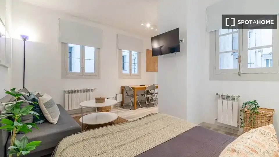 Wohnung zur Miete in Centro, imagen 12