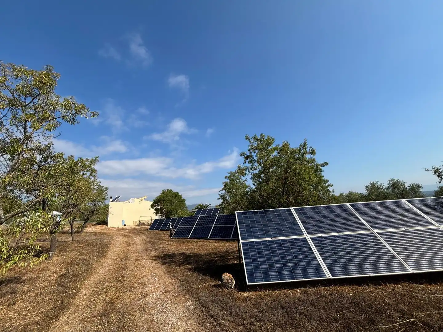 Jardín de Finca rústica en venta en Ginestar con Jardín privado, Trastero y Piscina