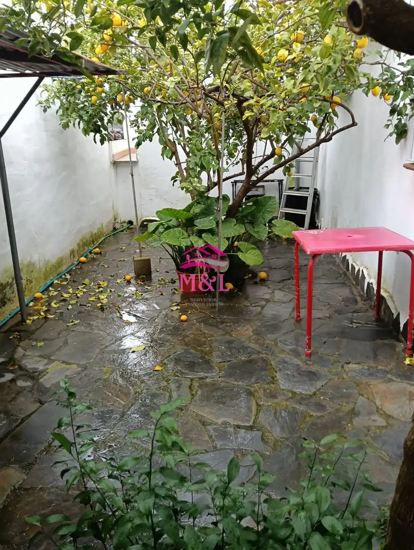 Garden of Houses for sale in Mérida  with Air Conditioner, Heating and Swimming Pool