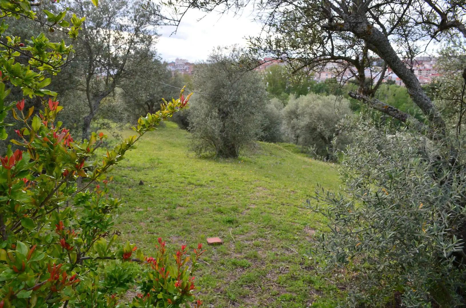 Terreni e lotti in vendita a Zona Sur - Av. de España - San Miguel, imagen 11