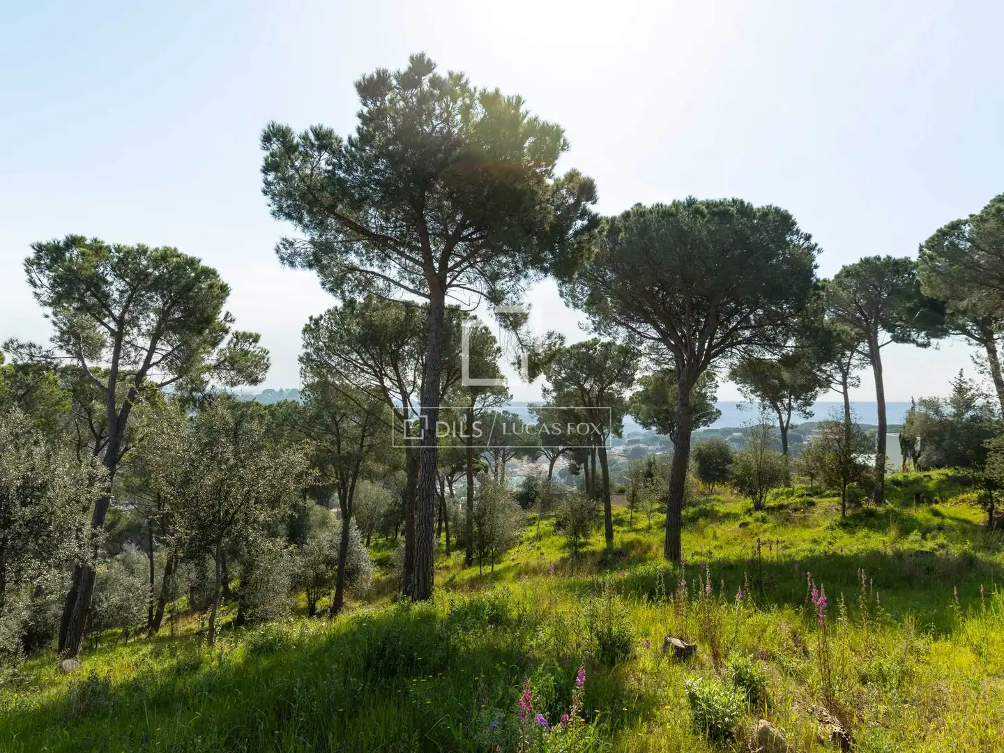 Detached house with terrace for sale in El Mirador - La Cornisa, imagen 4