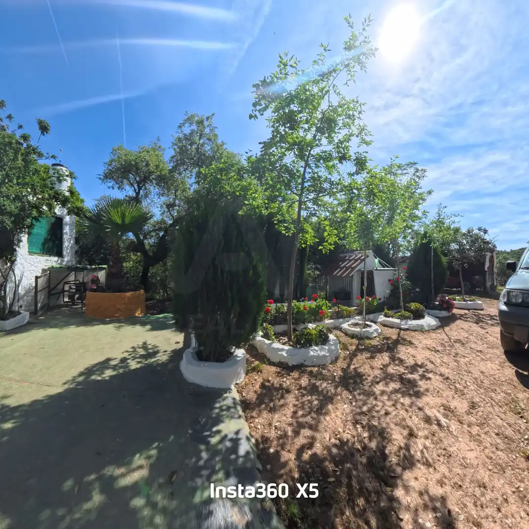 Jardín de Terreno en venta en Berrocal