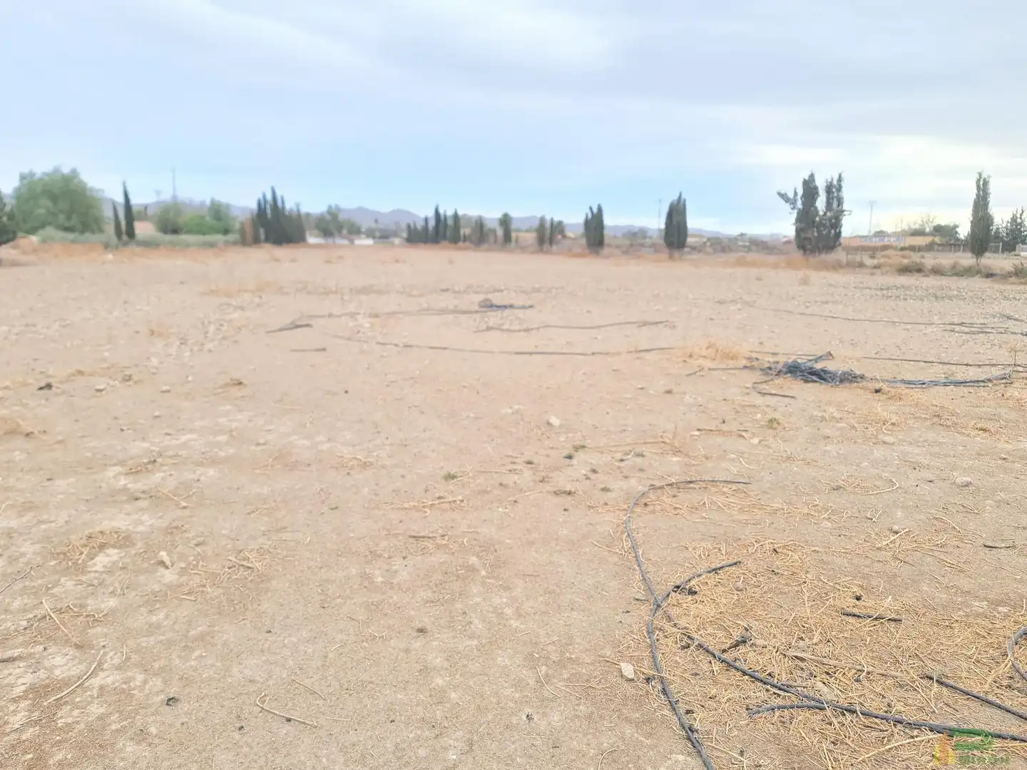 Lands and plots for sale in autovia lorca aguilas, imagen 8