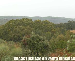 Land for sale in Abenójar