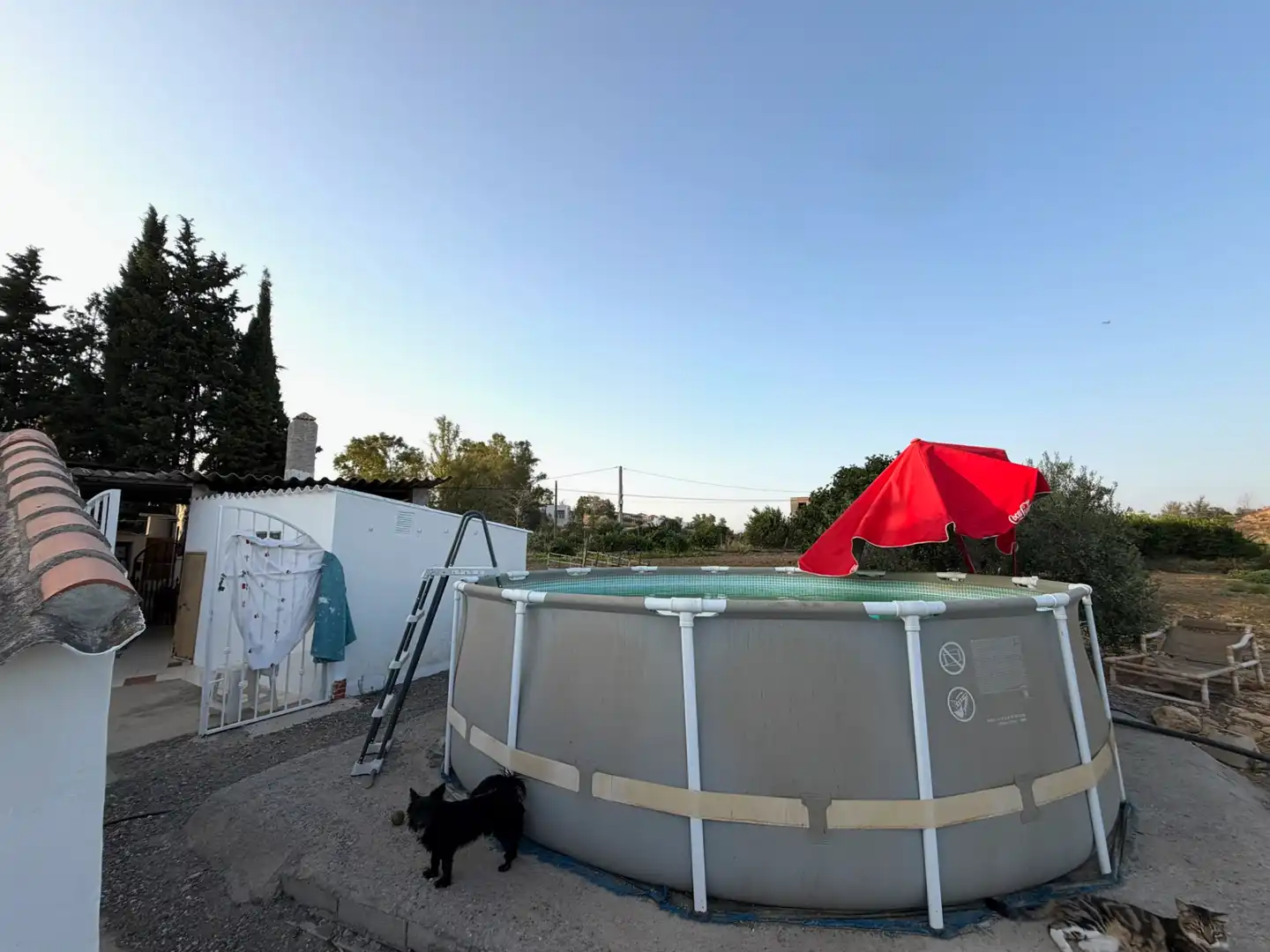 Piscina de Finca rústica en venda en Pizarra amb Aire condicionat, Jardí privat i Piscina