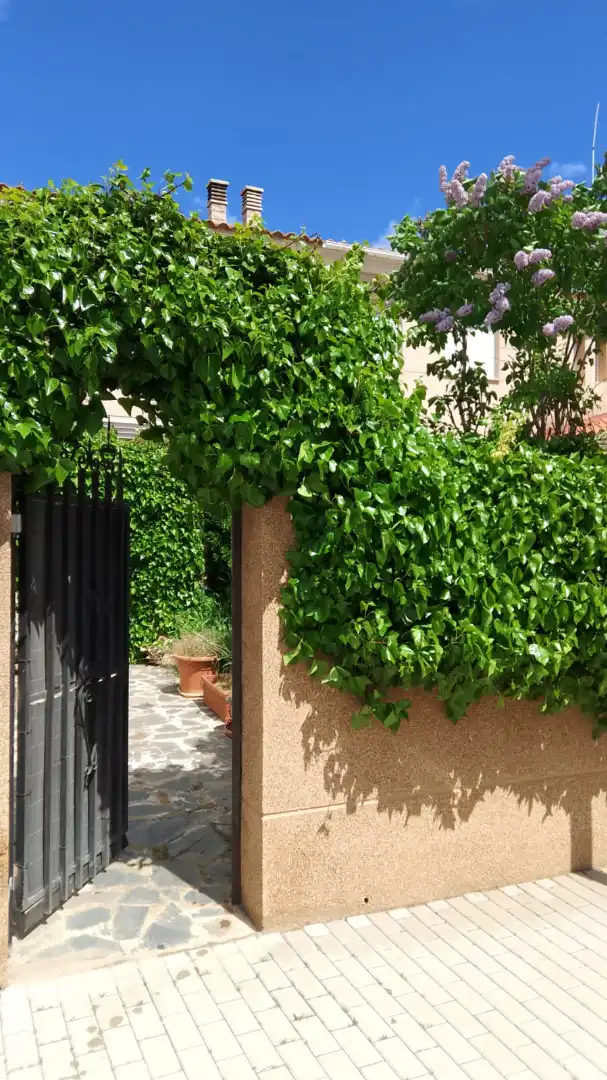 Reihenhaus mit Pool zum Verkauf in La Gineta, imagen 38