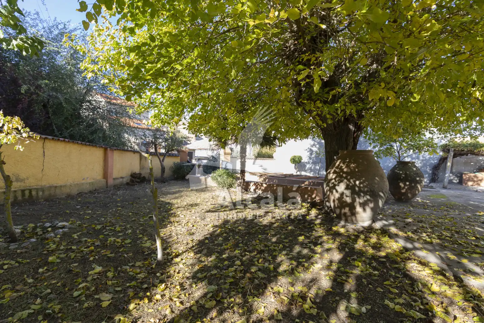 Jardí de Casa o xalet en venda en Anchuelo amb Calefacció